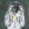 IN PURSUIT of (feat. Reggie Bonds) - EARFFMAN! lyrics