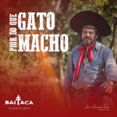 Pior do Que Gato Macho artwork