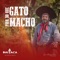 Pior do Que Gato Macho artwork