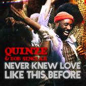 Never Knew Love Like This Before - Quinze & Bob Sinclar