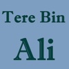 Tere Bin - Single, 2023