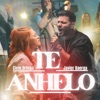 Te Anhelo (feat. Javier Baerga) - Single