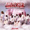 Awoyo Sofo (feat. Kofi Mole) - Single