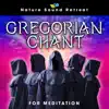 Gregorian Chant for Meditation (feat. The Sisters of St. Paulo Abbey & Benedictine Monks of St. Paulo Abbey) album lyrics, reviews, download