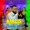 Narcis (Baiatul meu) - Single