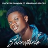 Secretário (feat. Magrinho Record) - Single