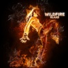 Wildfire (Extended Mix) - Single