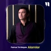 Alamlar - Single