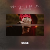 Are You With Me artwork