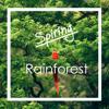 Spiring - Rainforest artwork