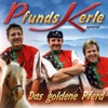 Das goldene Pferd