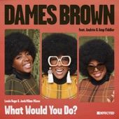 Dames Brown - What Would You Do? (feat. Amp Fiddler & Andrés)