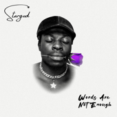 Words Are Not Enough - Stargod