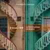 Escalier (Afrosideral Remixes) [feat. Ariel Bringuez] - Single album lyrics, reviews, download