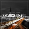 Because Of You - Single