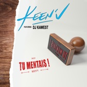 Tu mentais (feat. DJ Kawest) artwork