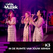 In de ruimte van jouw armen (uit Liefde Voor Muziek) [Live] artwork