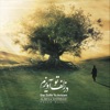 Dar Zolfe To Avizam - Single