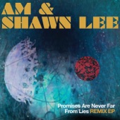 AM & Shawn Lee - Dark Into Light