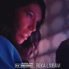 Reka Ljubavi - Single