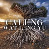 Calung Wat Leng Yu, 1995