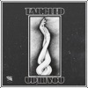 Tangled up in You - Single