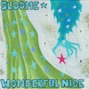 Wonderful Nice - Single