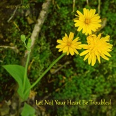 Let Not Your Heart Be Troubled artwork