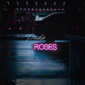 Roses (Radio Edit) artwork