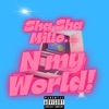 N My World - Single