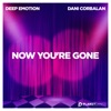 Now You're Gone - Single