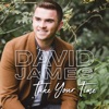 David James - Take Your Time
