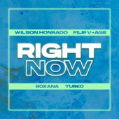Right Now (feat. Turko) artwork