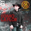 Como la Flor - Single