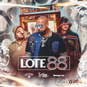 Lote 88 - Tribo da Periferia, Hungria Hip Hop & MC Ryan SP