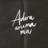 Adora anima mia (Live) artwork