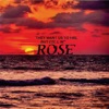 Rose - Single