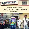 Look At Me Now (feat. 2 Eleven) - Single album lyrics, reviews, download