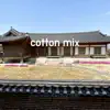 Cotton Mix - Single album lyrics, reviews, download