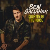 Country in the House artwork