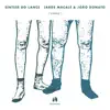 Síntese do lance - Single album lyrics, reviews, download