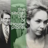 Music for Houseplants and Other Wallflowers