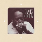 James Cotton - Straighten Up Baby