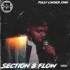 Section 8 Flow - Single album lyrics, reviews, download