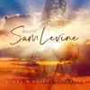 Stream & download Best Of Sam Levine: Hymns & Gospel Favorites