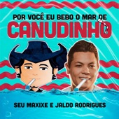 Por você eu bebo o mar de canudinho (feat. Jaldo Rodrigues) artwork