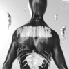 Purist Hate - Single