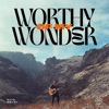 Worthy of My Wonder - Single