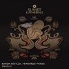 Aaron Sevilla & Fernando Praga - Anhelo - Single