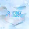 O What a Miracle - Single album lyrics, reviews, download